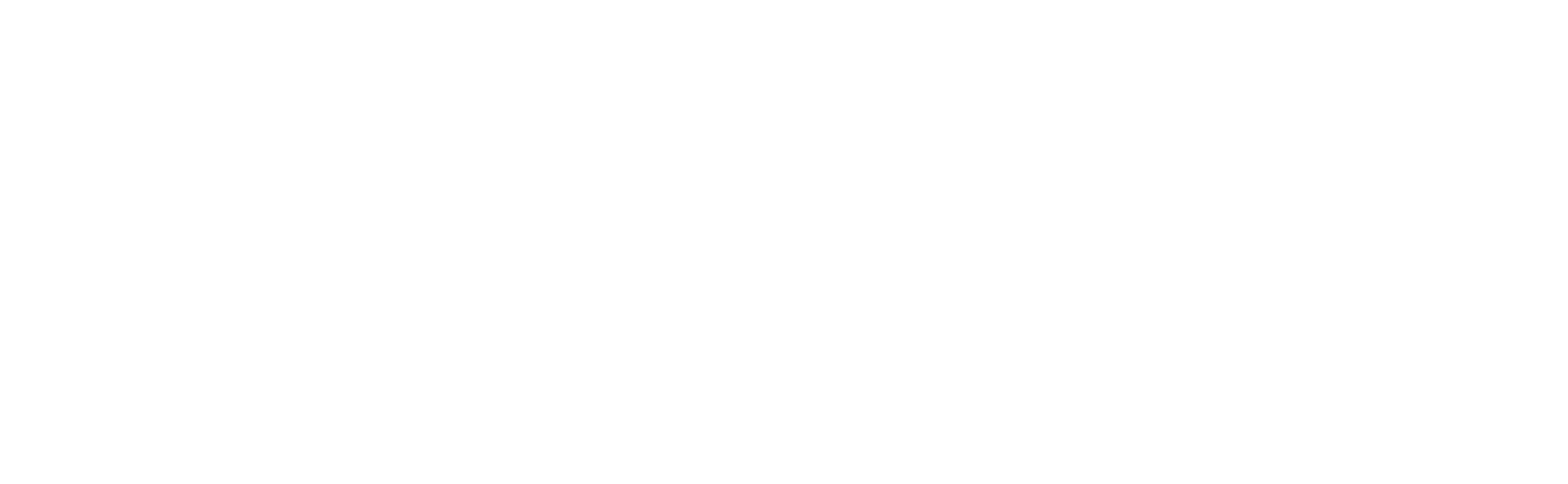 Sirius XM logo