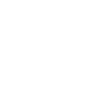 Dunlop logo